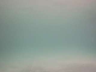 voyeurcam casa salsa pool 1